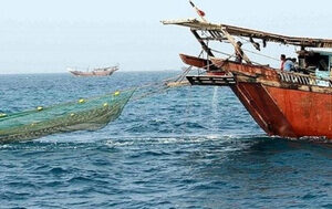 شناورصیادی متخلف در صیدگاه امام حسن دیلم توقیف شد