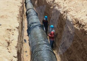 فرماندار دیلم