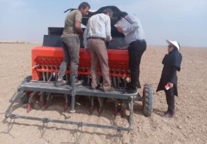 مدیر جهاد کشاورزی شهرستان دیلم