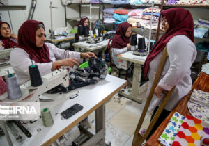 ۱۳۹ میلیارد ریال تسهیلات خود اشتغالی به مددجویان بهزیستی دیلم پرداخت شد