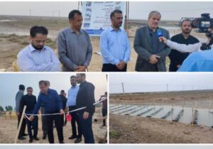 اشتغال در حوزه آبزیپروری شهرستان دیلم افزایش مییابد