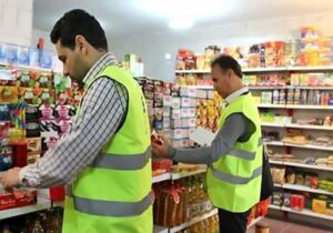 ۳۳ فقره پرونده تخلف در دیلم تشکیل شد